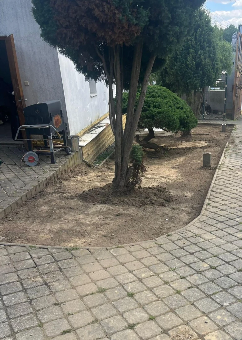 Zeleň na svahu po úpravě terénu s novými stromy.