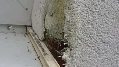 Poškozená fasáda s odlupujícím se omítkou u okna.