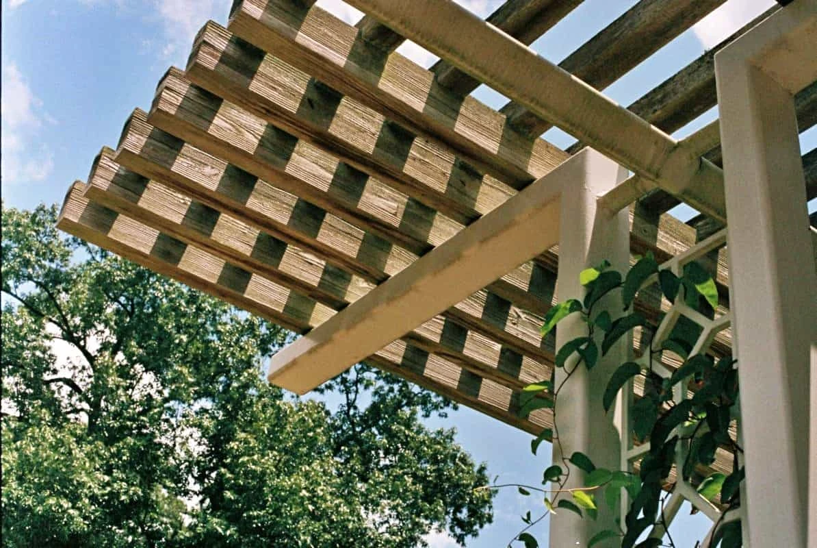 Dřevěná pergola s rostlinami na modré obloze.