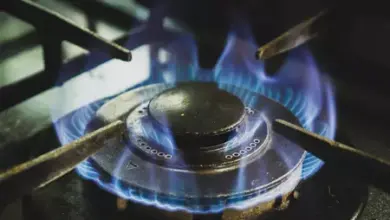 Gas stove burner flame