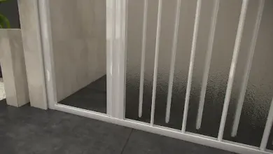 Shower door and frame