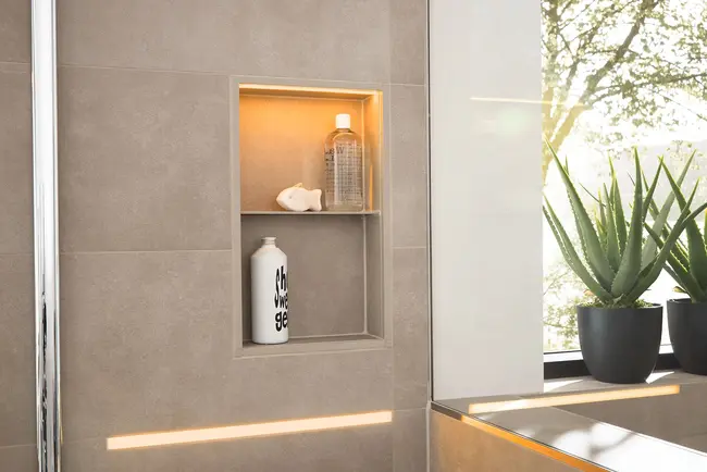 Niche with bottles and plants