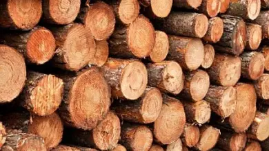 Skládané kmeny dřeva s viditelnou strukturou a hustotou.