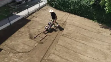 Muž srovnává zahradu motokultivátorem na slunci.