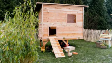 Hotový dřevěný kurník pro slepice na trávníku s kuřaty.
