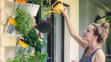 Žena zalévá rostliny na truhlíku z palety.