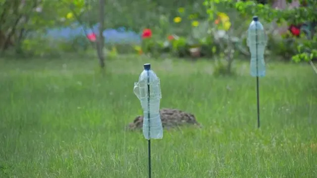 Dvě plastové lahve jako plašiči krtků v trávníku.