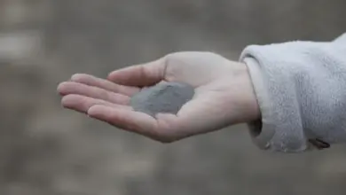 Ruka drží hromádku hašeného vápna v zahradě.