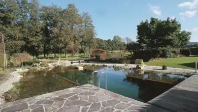 Přirozené koupací jezírko na zahradě s kamenným okrajem.
