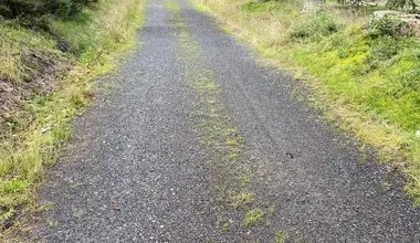 Mlatový chodník v lese pro cyklisty i pěší.